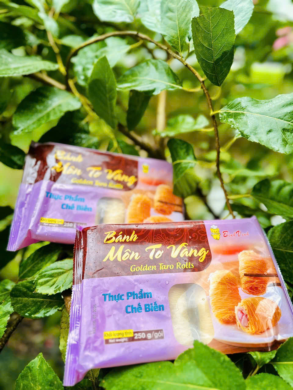 Bánh môn tơ vàng Bình Vinh