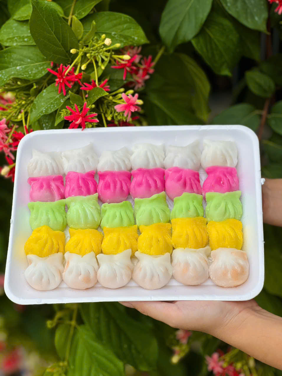 Há cảo ngũ sắc 500 gram