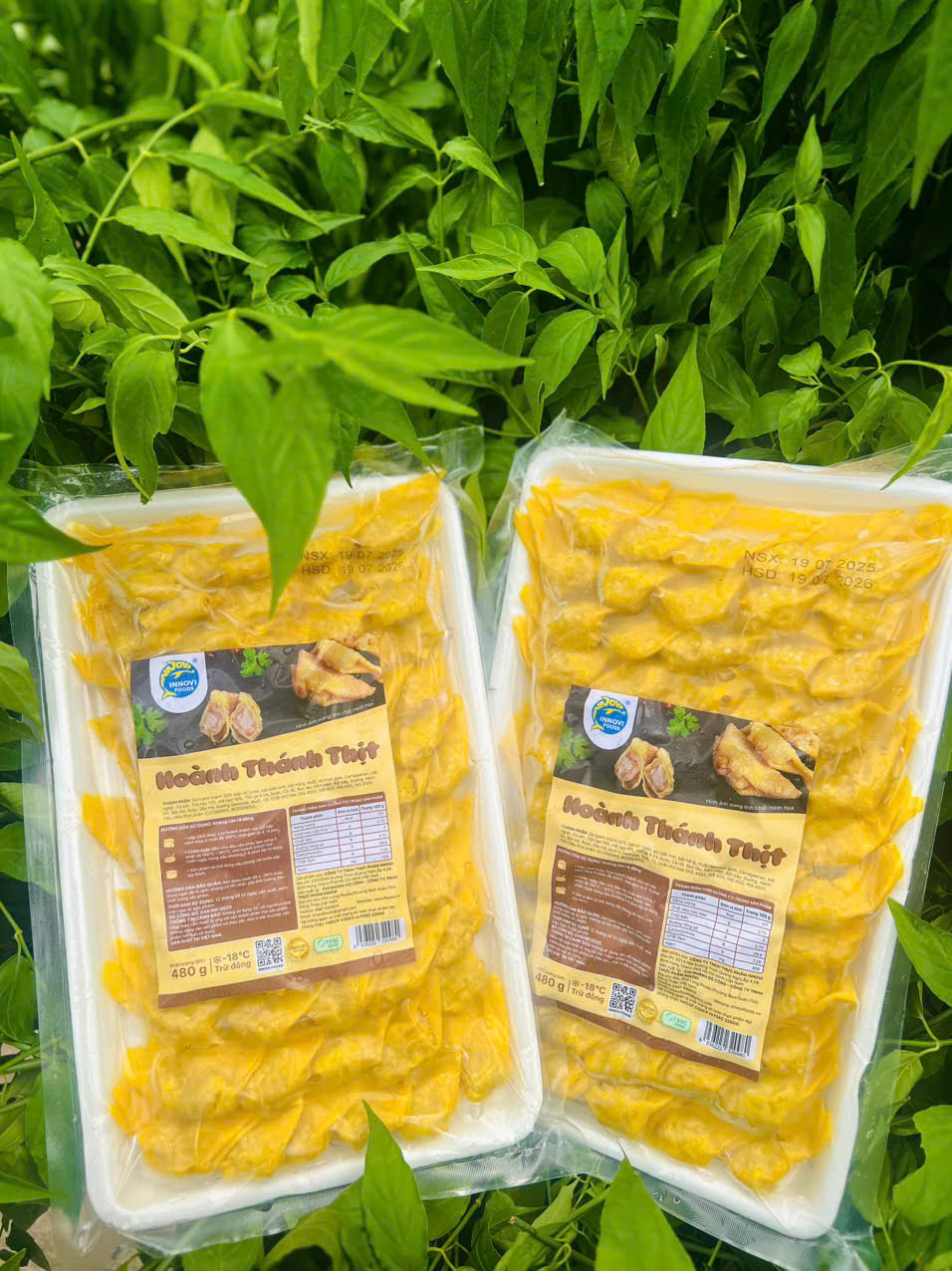 Hoành Thánh Thịt Innovi 480 gram