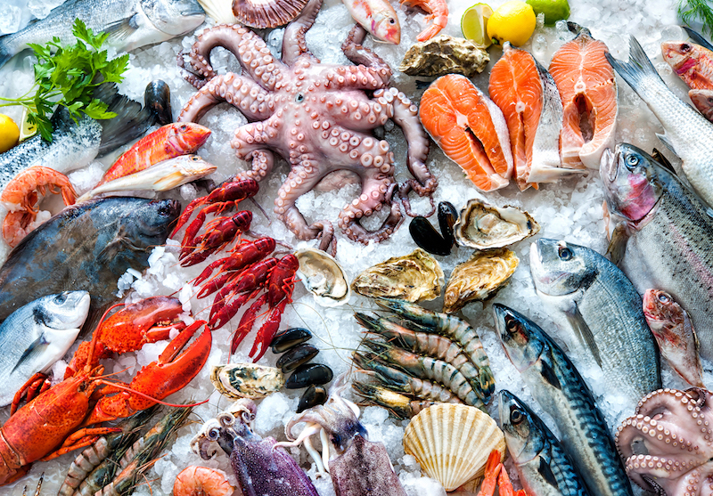 thịt cá đông lạnh ptp